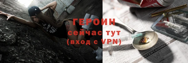 хмурый Алексин