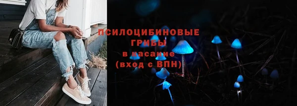 сатива Алзамай