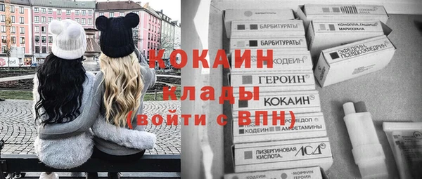 хмурый Алексин