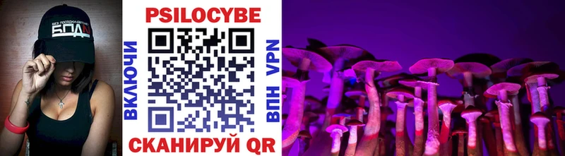 Галлюциногенные грибы Cubensis  Белокуриха 